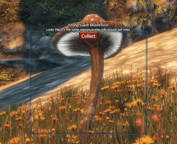 One of the mushrooms that must be found to complete the quest.