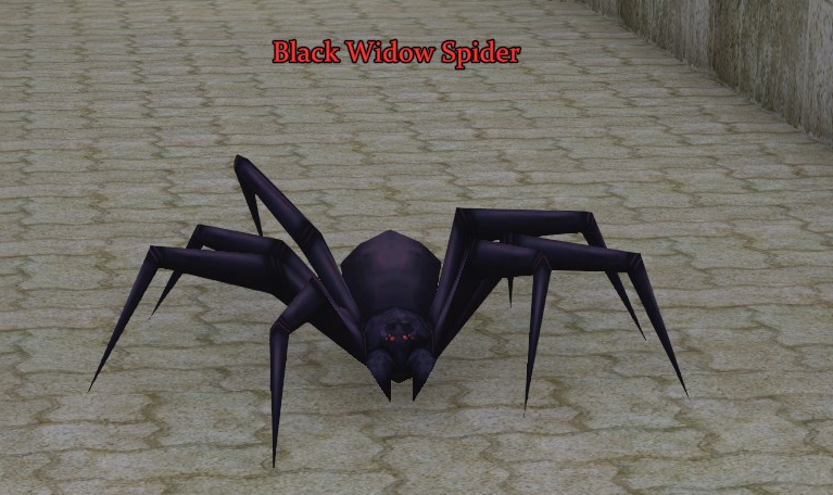 File:Black Widow Spider.png