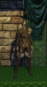 Leather Armor Set
