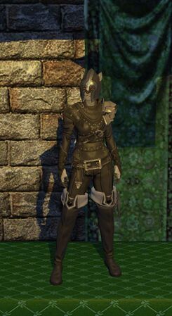 Leather Armor Set