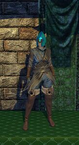 Leather Armor (level 30)