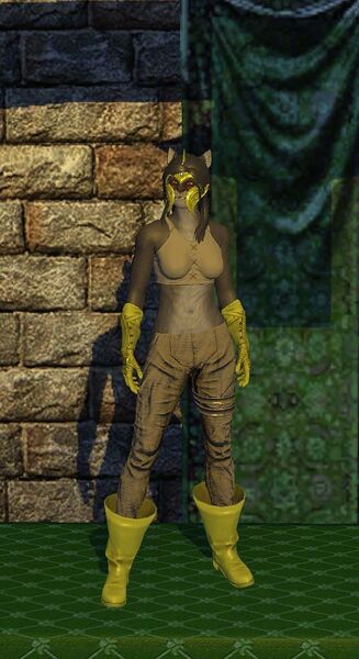 File:Cloth Armor (level 10).jpg