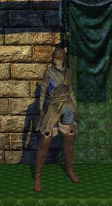 Evasion Armor Set