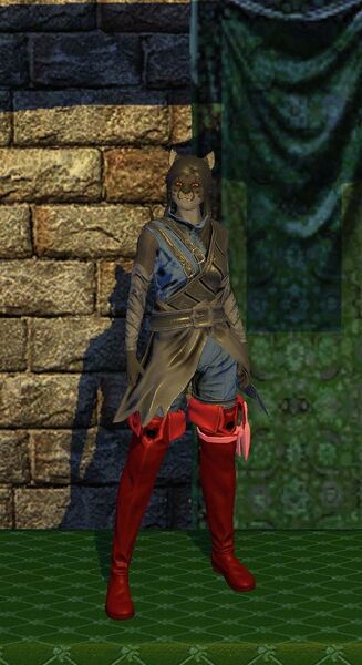 File:Evasion Armor (level 60).jpg