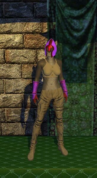 File:Leather Armor (level 10).jpg