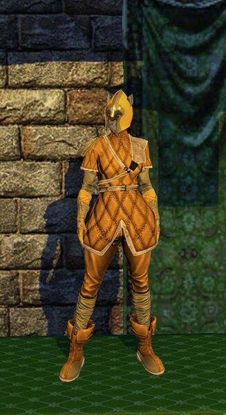 File:Ratkin Revoltionist Armor Set.jpg