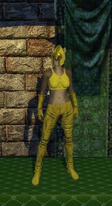 Leather Armor (level 5)