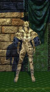 Web-Coated & Web-Encrusted Armor Set