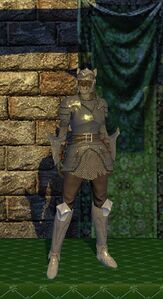 Povus Special Armor Set