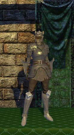 Povus Special Armor Set