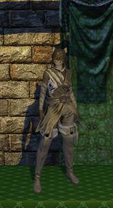 Evasion Armor (level 40)