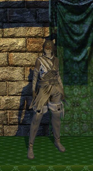 File:Evasion Armor (level 40).jpg