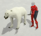 A player with a pet Bear.