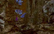 Strange blue crystals are found throughout the cavern.
