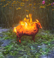 Fire Sheep