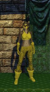 Cloth Armor (level 5)