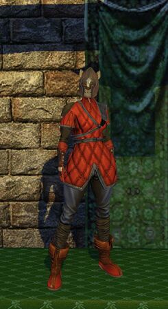 Nimble Armor Set