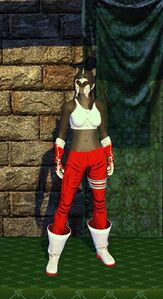 Cloth Armor (level 20)