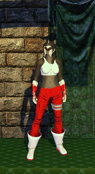 File:Cloth Armor (level 20).jpg