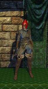Leather Armor (level 20)