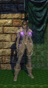 Cloth Armor (level 40)